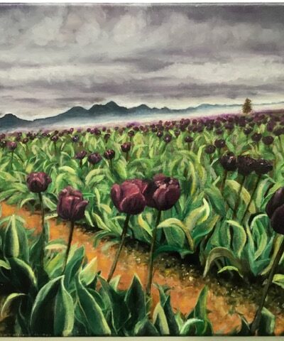 Festival_of_Tulips