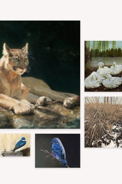 Gallery_Wall_Wildlife-Bonnie+Collins