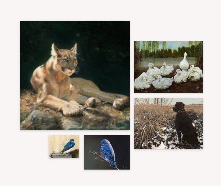 Gallery_Wall_Wildlife-Bonnie+Collins