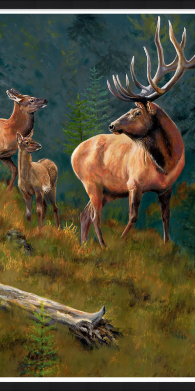 Proud Elk Parents Classic – Black Frame Proud_Elk_Parents_Classic-Blk_Frame