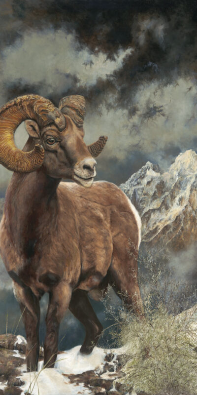 Ram_of_Denali