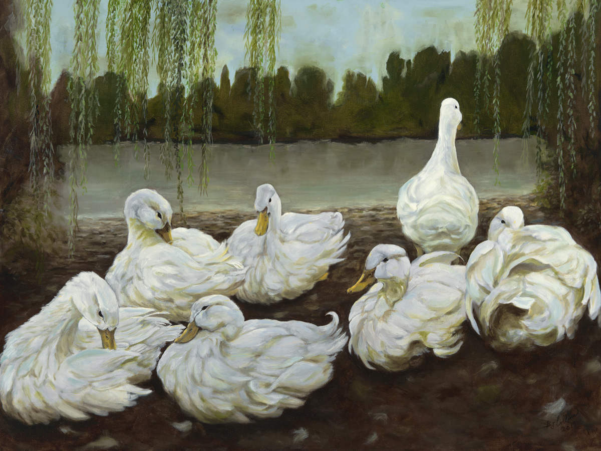 Slumbering_Ducks_by _he Willow