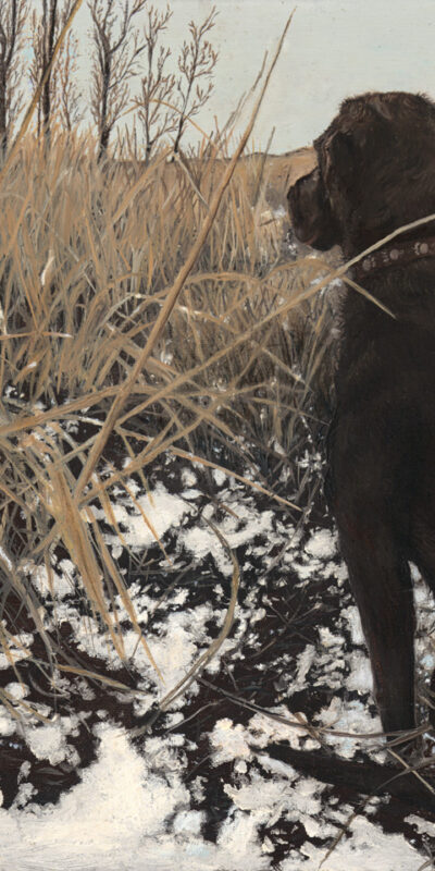 Watchful_Canine_Companion