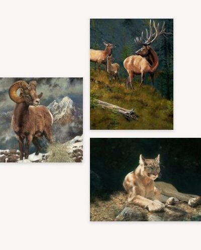 Wildlife_Gallery_Wall_Bonnie_Collins