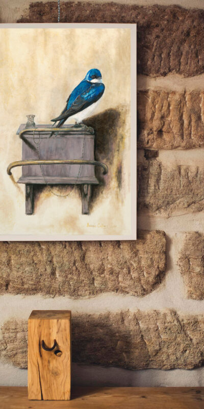 blue_bird_house_hanging_brick_wall